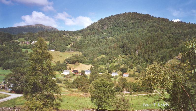 navane.jpg - Humborstad: "Navane" og "Myrane". Horn i bakgrunnen. (2003)