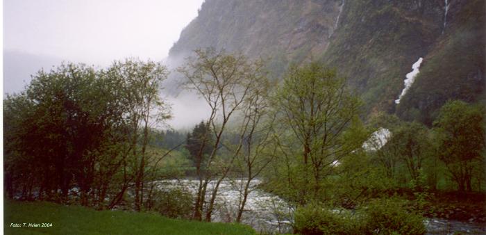 Hyen2004b.jpg - Hyen 1972 - Another view of rainy Hyen,  May 2004