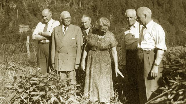 DStovevisitSindre.jpg - Left to Right: Anton Gullaksen, David Stoeve, Ragna Gullaksen, Mrs. Alma Stoeve, Hallvard Sindre, Dagfinn Sindre. (Foto: Svein Sindre ca. 1954)